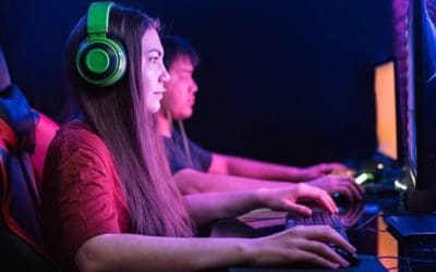 Online Popularity, Internet Fraud, and The E-Gaming Service Provider